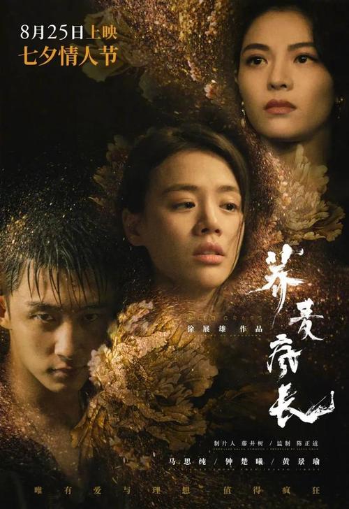 没有毕业证学历证书复印件怎么弄